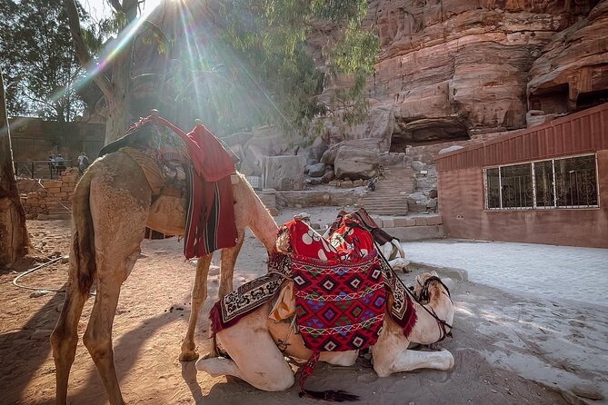 Nabatean Nights Stay in Petra Jordan - Bedouin Village with Tour - Sunrise inside Petra: the moment that sells the concept