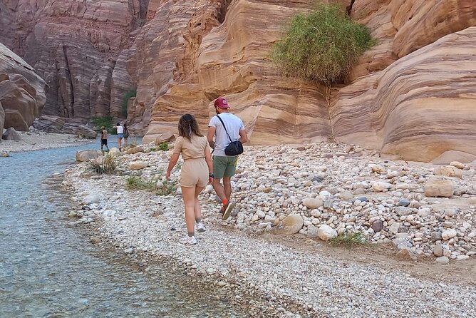 One Day Hiking Wadi Al Hasa Canyon - Gear and pacing tips for a sandstone canyon day