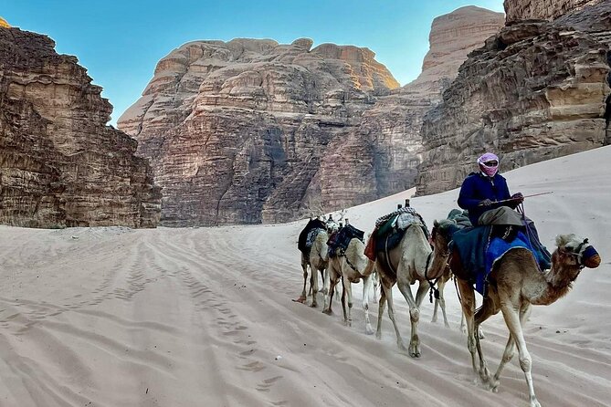 One Day Petra & Wadi Rum from Aqaba - Private tour format, English support, and driver quality