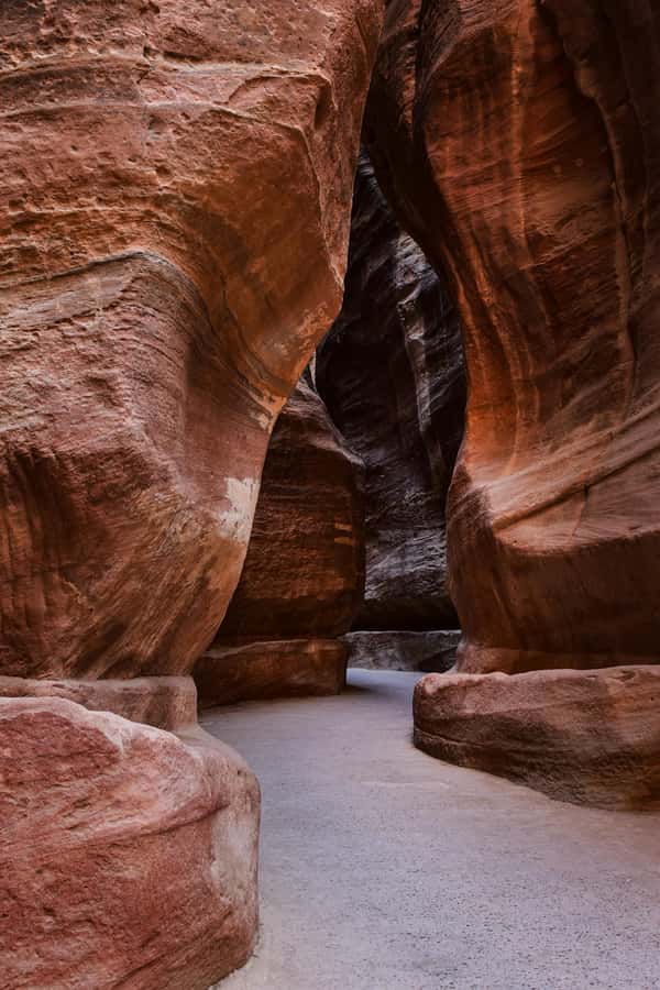 One Day Tour from Aqaba - Petra and Wadi Rum - Aqaba - Booking value for $209, and what you actually get