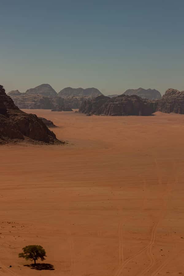One Day Tour from Aqaba - Petra and Wadi Rum - Aqaba - Group size, driver language, and what to expect from a private day