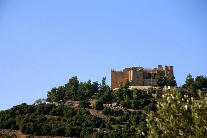 One Day Trip to Jerash & Ajloun Castle - Timing that feels efficient, but still leaves you room to wander