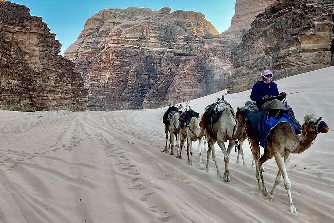 One Day Wadi Rum from Aqaba - Price and Value: Is $122.08 Worth It?