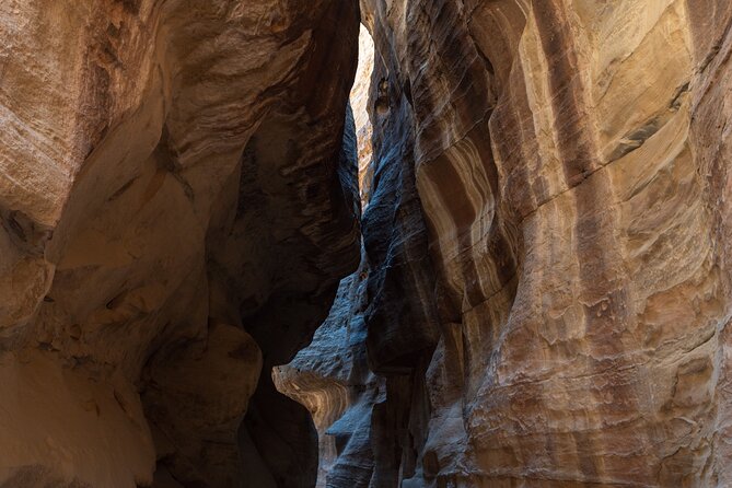 Petra 1 Day Tour from Aqaba - Trust and reliability: the one thing I would check before you commit