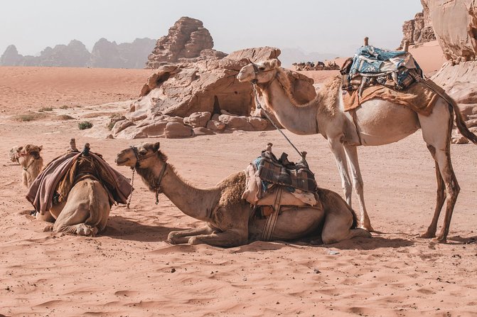 Petra and Wadi Rum in One Day | The Jordanian Mappers - Wadi Rum sunset and the time window that makes the day memorable