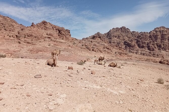 Petra Back-Road Trail and Hike - Key highlights you can count on