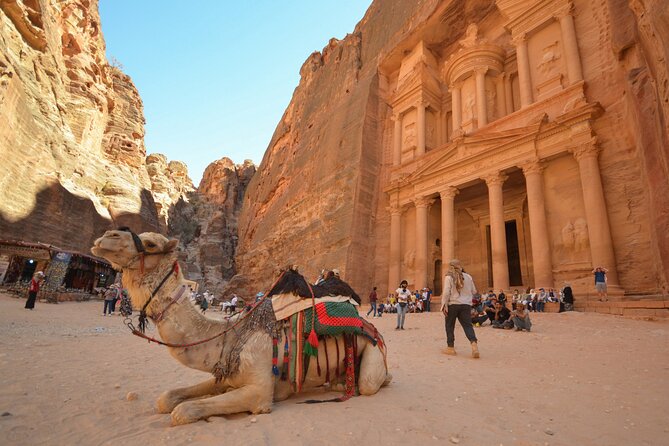 Petra & Dead Sea - One day Private tour - Comfort and communication in a private, Wi-Fi-equipped vehicle