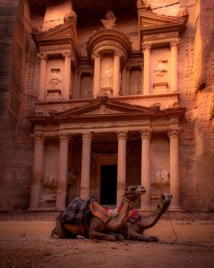 Petra & Dead Sea Private day tour - The Dead Sea: Float, Mud, Lunch, Repeat