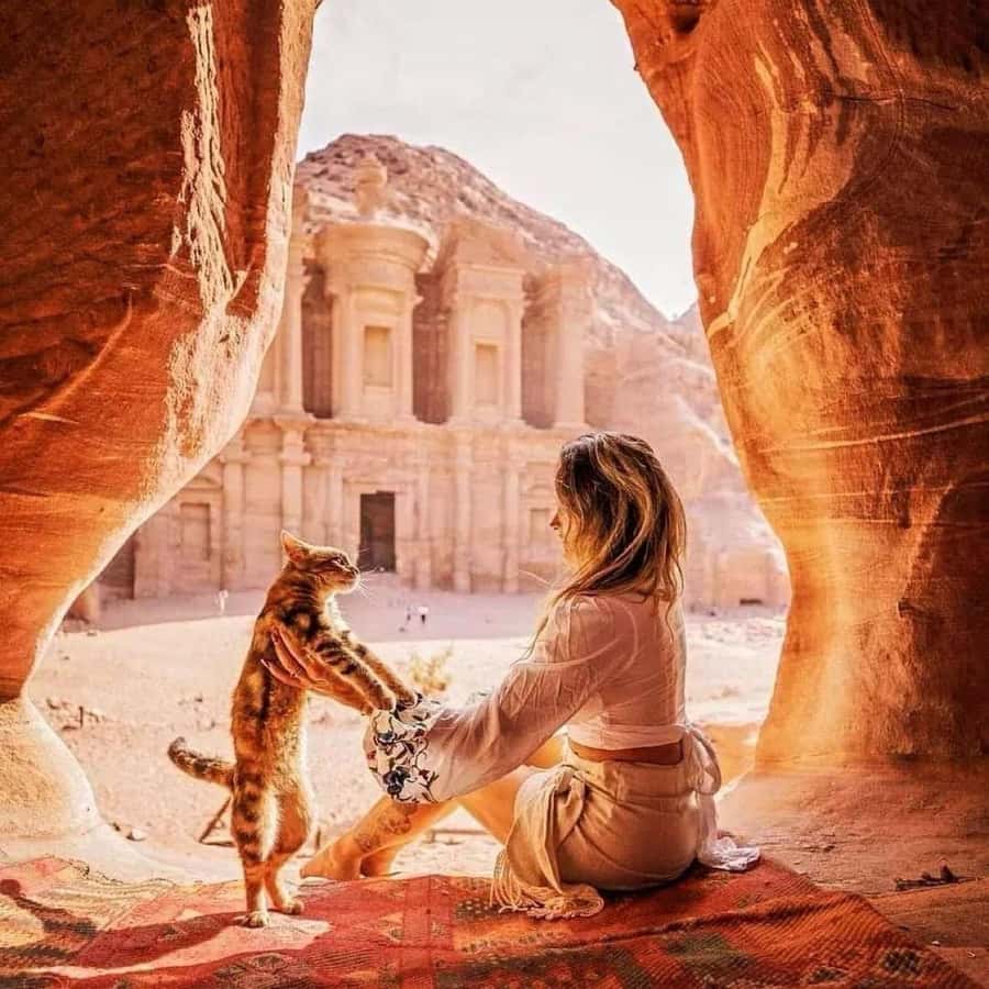 Petra Full-Day Private or Group Tour From Amman - The Driver Factor: Why Faisal, Omar, and Ibrahem Get Mentioned