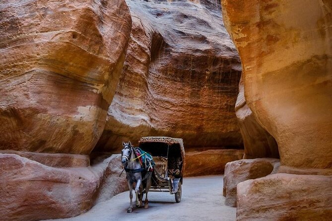Petra Private Full-Day Tour - Obelisk, Urn, and the More Specific Tomb Names You’ll Remember