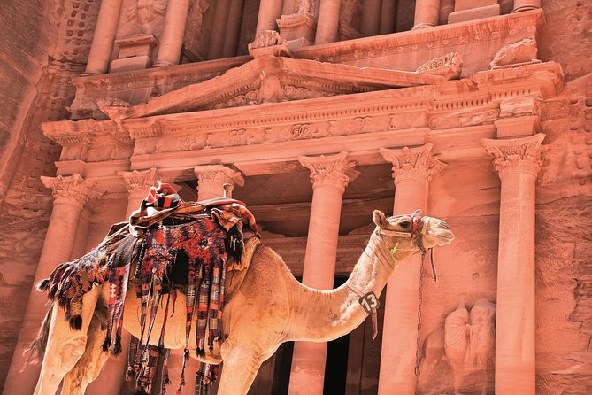 Petra Shore Excursion from Aqaba Port - The Aqaba Port Pickup That Saves Your Cruise Day