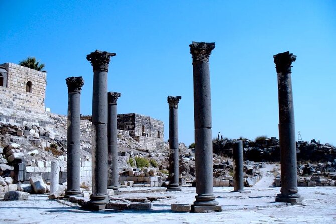 Petra & Wadi Mujeb Private day tour - Who This Private Petra Plus Wadi al-Mujib Tour Is Best For