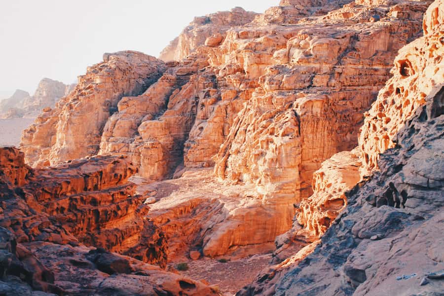 Petra & Wadi Rum: Full Day Private Tour with Hotel Pickup - Why the guide matters more than you think