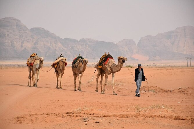 Petra & Wadi Rum Full-Day Tour from Amman or Airport - How a 13 to 15 Hour Petra and Wadi Rum Day Works
