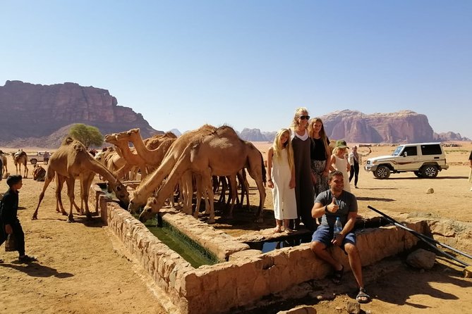 Petra & Wadi Rum in 3 Days from Amman Airport - Who this tour is best for, and who should skip it