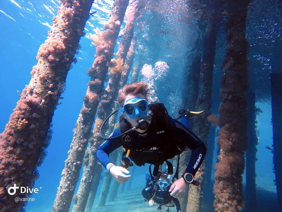 Pivate scuba diving in the Red Sea of Aqaba - Key Highlights at a Glance