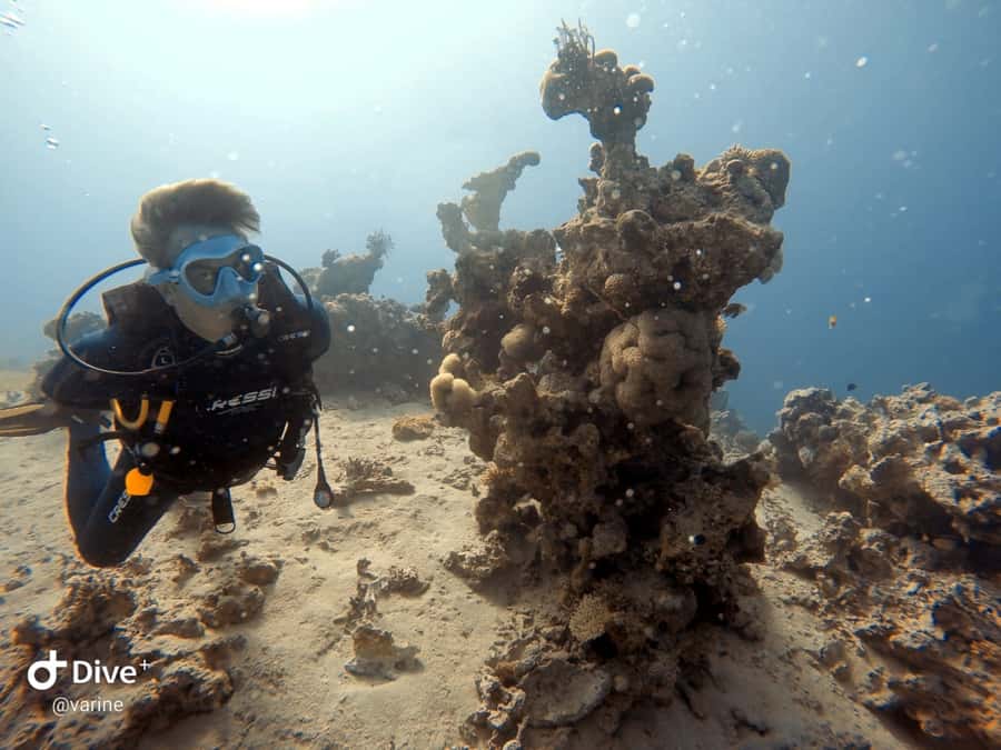 Pivate scuba diving in the Red Sea of Aqaba - Gear, Guide, and the Safety Setup
