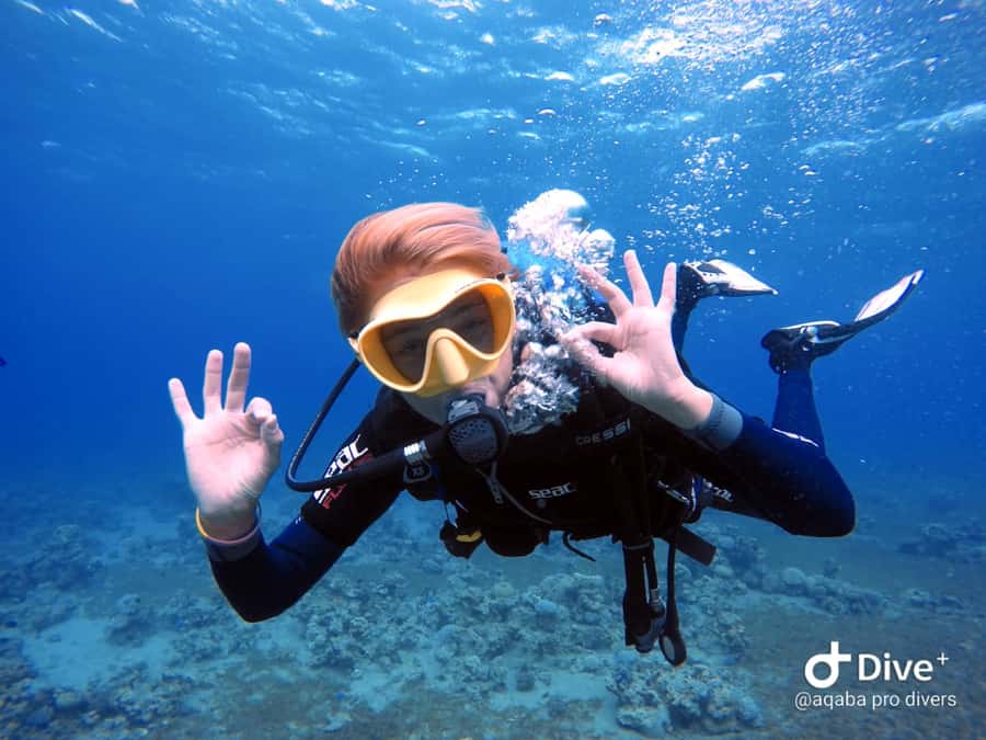 Pivate scuba diving in the Red Sea of Aqaba - If You Are a First-Timer, This Is About Skills and Signs