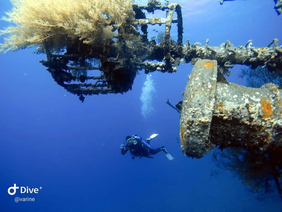 Pivate scuba diving in the Red Sea of Aqaba - Where You Meet and How This Session Runs