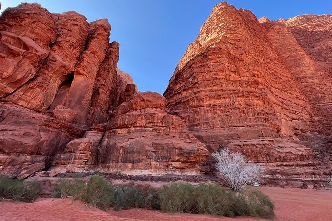 Private 1 Day Wadi Rum Desert Tour - Who should book this private Wadi Rum day