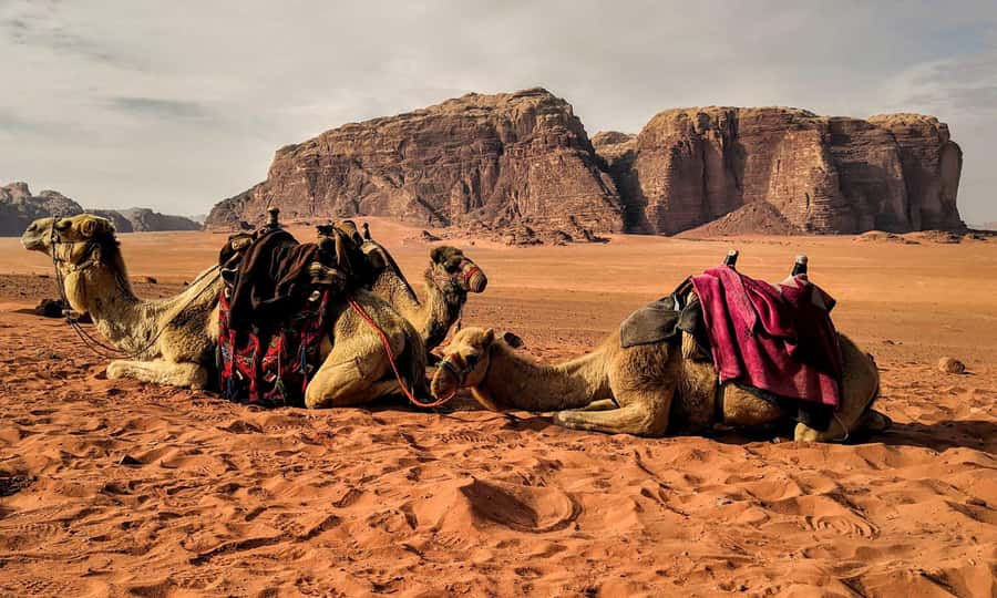 Private 3-Hour Guided Tour of Petra with Hotel Pickup . - Who this tour fits best, and who should choose differently