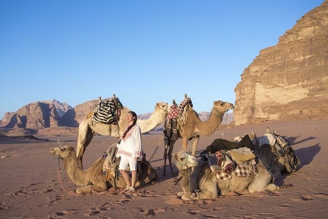 Private 5-Day Guided Tour of Jordan - Day 2 Amman classics and Jerash ruins before Petra nightfall
