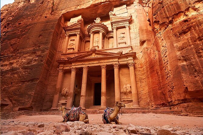 Private Departure Transfer: Petra Hotels to Amman Airport - Petra Hotel to Queen Alia Airport, the real-world flow