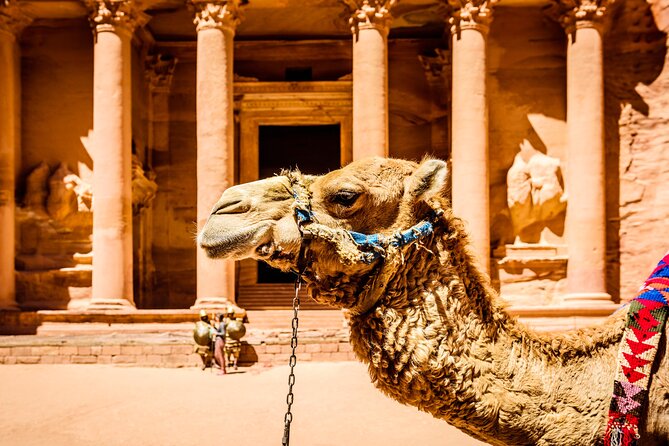 Private Full Day Tour from Amman to Petra City - The Petra Treasury (Al Khazna): the stop everyone plans around