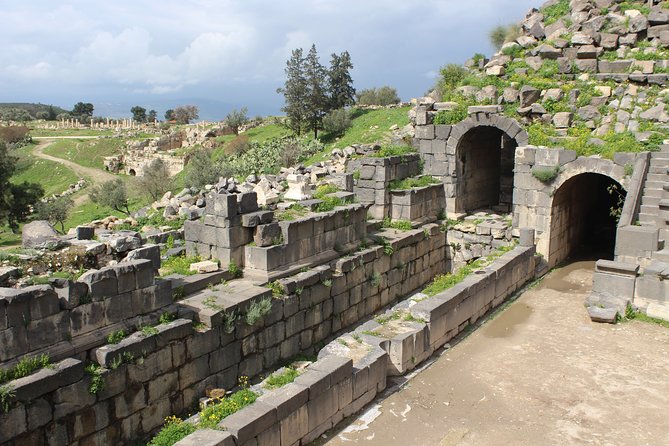Private Full Day Tour to Umm Qais and Ajloun from Amman - What you get from a private format in plain terms