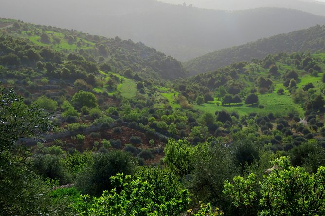Private Full Day Tour to Umm Qais and Ajloun from Amman - Entrances, Jordan Pass, and how to avoid paying twice