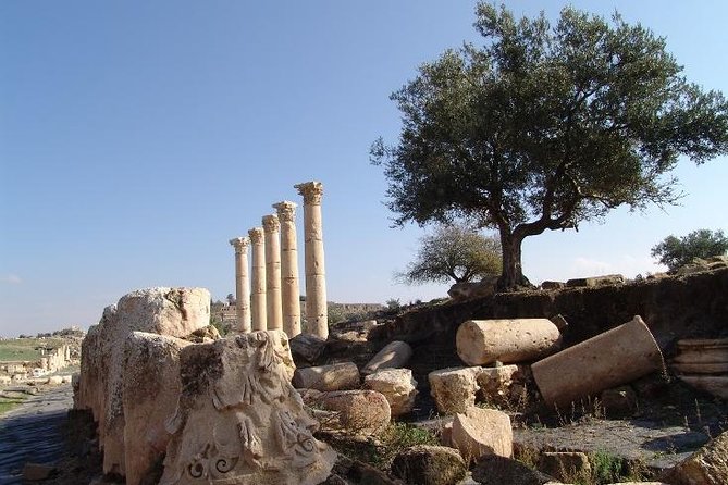 Private Guided Umm Quais and Jerash tour with lunch - Private air-conditioned transport, plus WiFi and bottled water