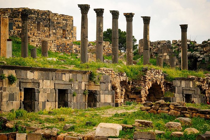 Private Guided Umm Quais and Jerash tour with lunch - Lunch at a local restaurant, plus what to know about drinks