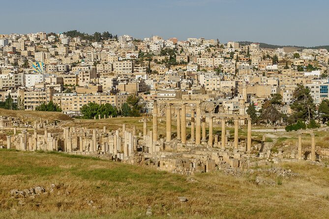 Private Half Day Tour in Jerash From Amman - Who this tour fits best