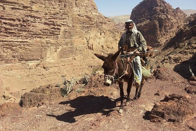 Private Half-Day Tour of Petra with Lunch - Lunch in a cave with a Petra family: why this stop is more than food