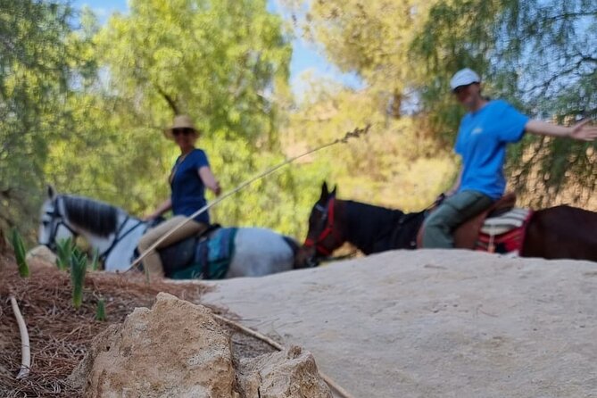 Private Indiana-Jones Archeological Trail Tour - What Happens After the Tour Ends Near the High Place of Sacrifice