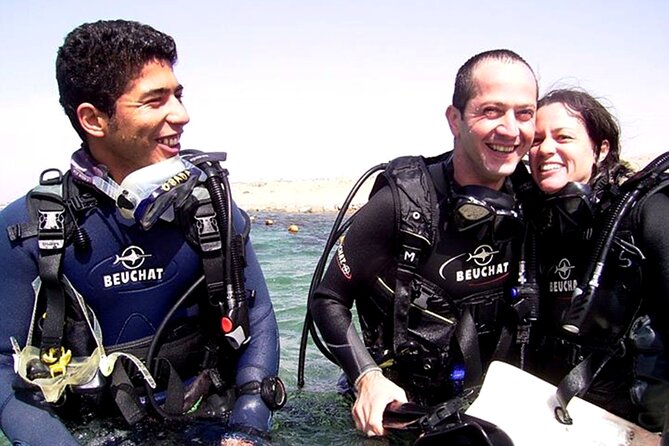 Private Intro Scuba Dive – Aqaba Coral Reefs - Key highlights at a glance