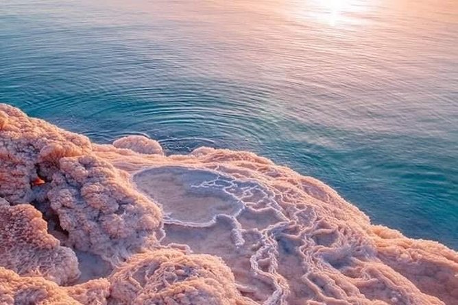 Private One Day Trip to Dead Sea with Lunch - What you actually do in the Dead Sea water (and how to enjoy it)