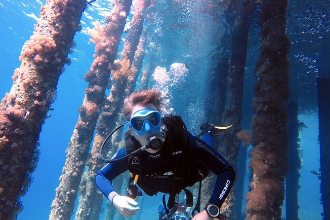Private Scuba Diving Adventure in the Red Sea of Aqaba - Key takeaways before you go
