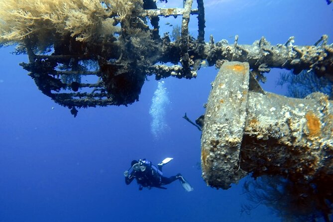 Private Scuba Diving Adventure in the Red Sea of Aqaba - Beginner training: getting comfortable fast, without rushing
