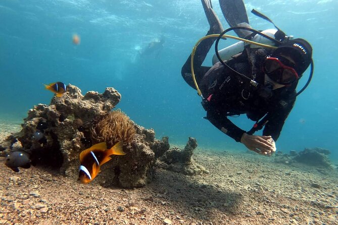 Private Scuba Diving Adventure in the Red Sea of Aqaba - Practical details that affect your day