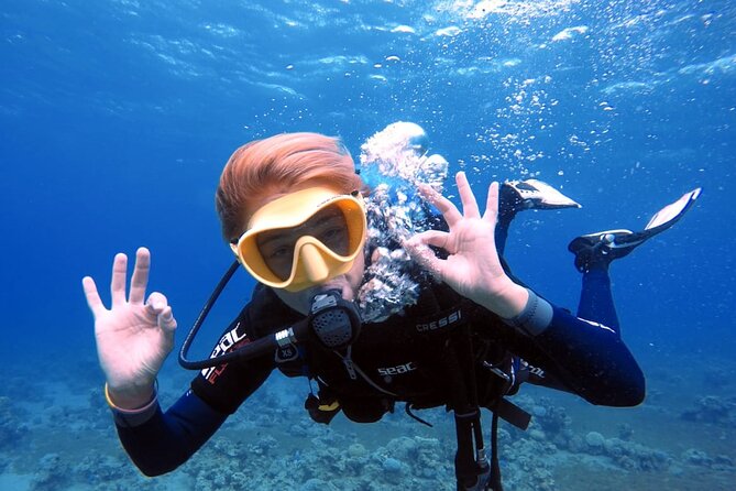 Private Scuba Diving Adventure in the Red Sea of Aqaba - For certified scuba users: choosing your site, with a guide