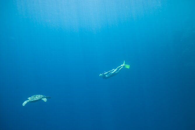 Private Snorkeling Experience in Aqaba Red Sea - Private Aqaba snorkel time, priced for a quick yes