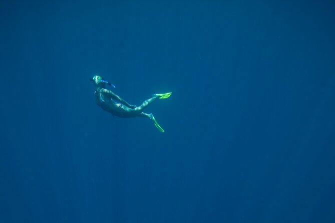 Private Snorkeling Experience in Aqaba Red Sea - The part everyone remembers: photos and video after the water