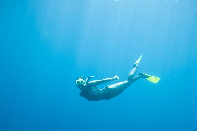Private Snorkeling Experience in Aqaba Red Sea - How to make the most of a 1-hour private session