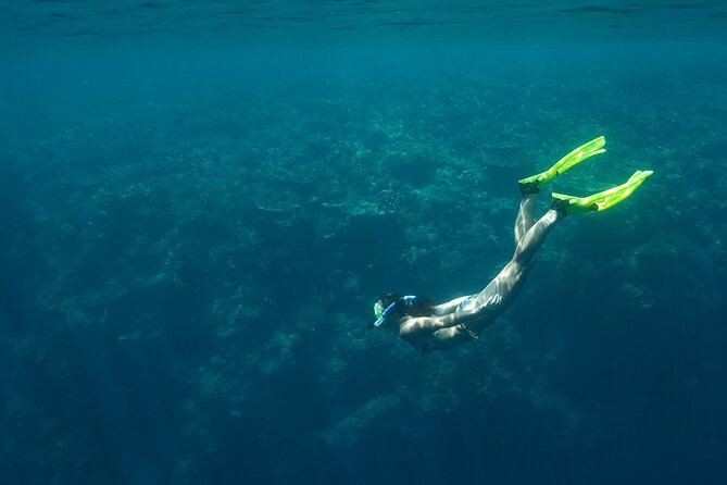 Private Snorkeling Experience in Aqaba Red Sea - Who this snorkeling hour is best for