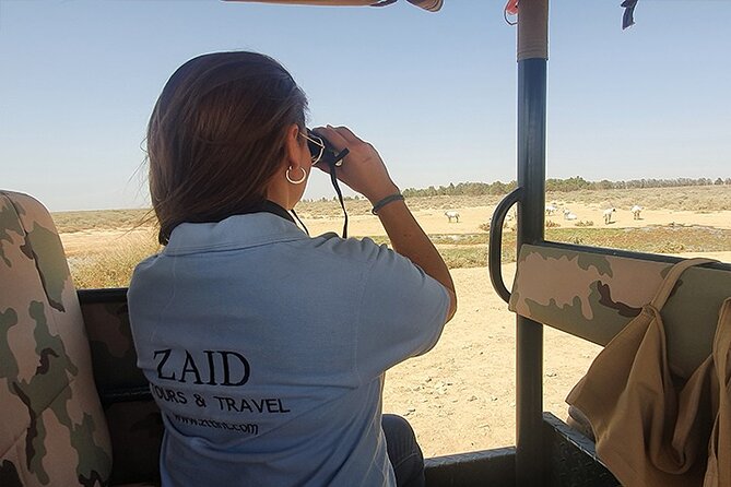 Private Tour of Desert Castles Eastern Jordan with optional Azraq Wetland Visit - Why This Tour Feels Like a Shortcut to Eastern Jordan