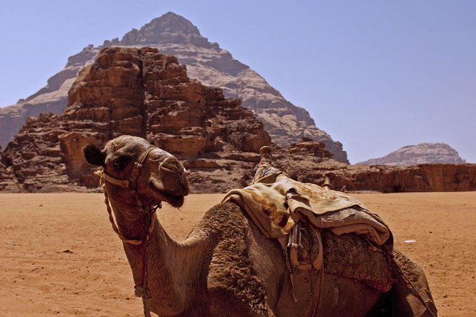 Private Tour of Wadi Rum Star Wars from Aqaba - Stop 4 Optional 30-Minute Camel Ride in the Desert