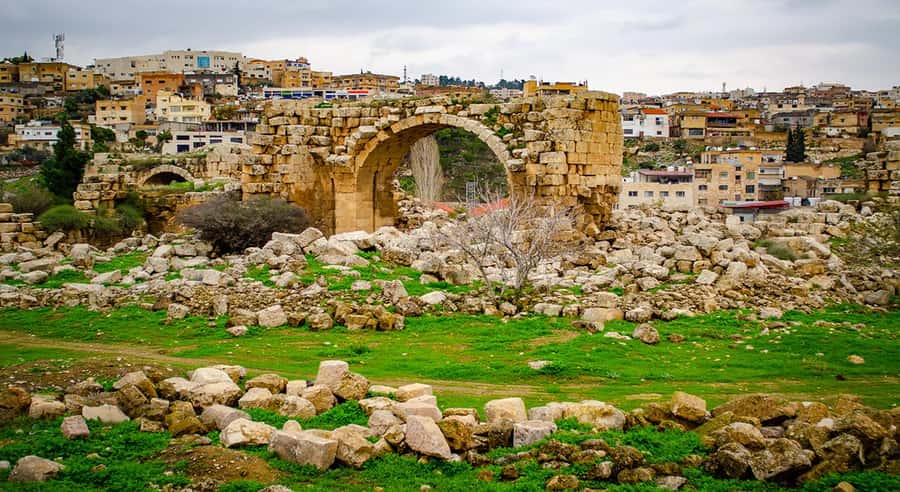 Private Tour to Jerash and Ajloun from Amman - Key Highlights You’ll Care About