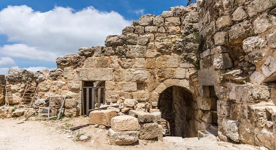 Private Tour to Jerash and Ajloun from Amman - Ajloun Castle: Saladin’s Fortress With Big Views