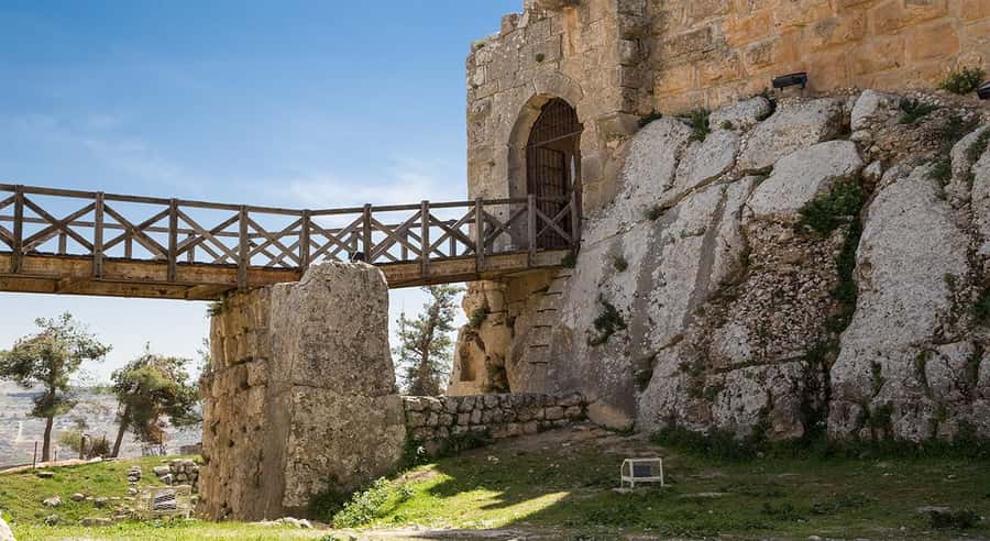 Private Tour to Jerash and Ajloun from Amman - Private Driver Plus Optional Guidance: Comfort Matters on a Day Like This